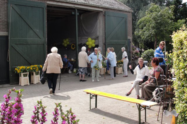 Zonnebloemen voor Blijdorp