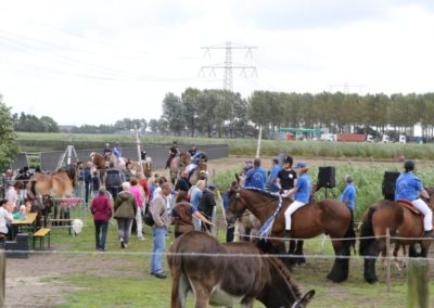 Pompoenfair 2016